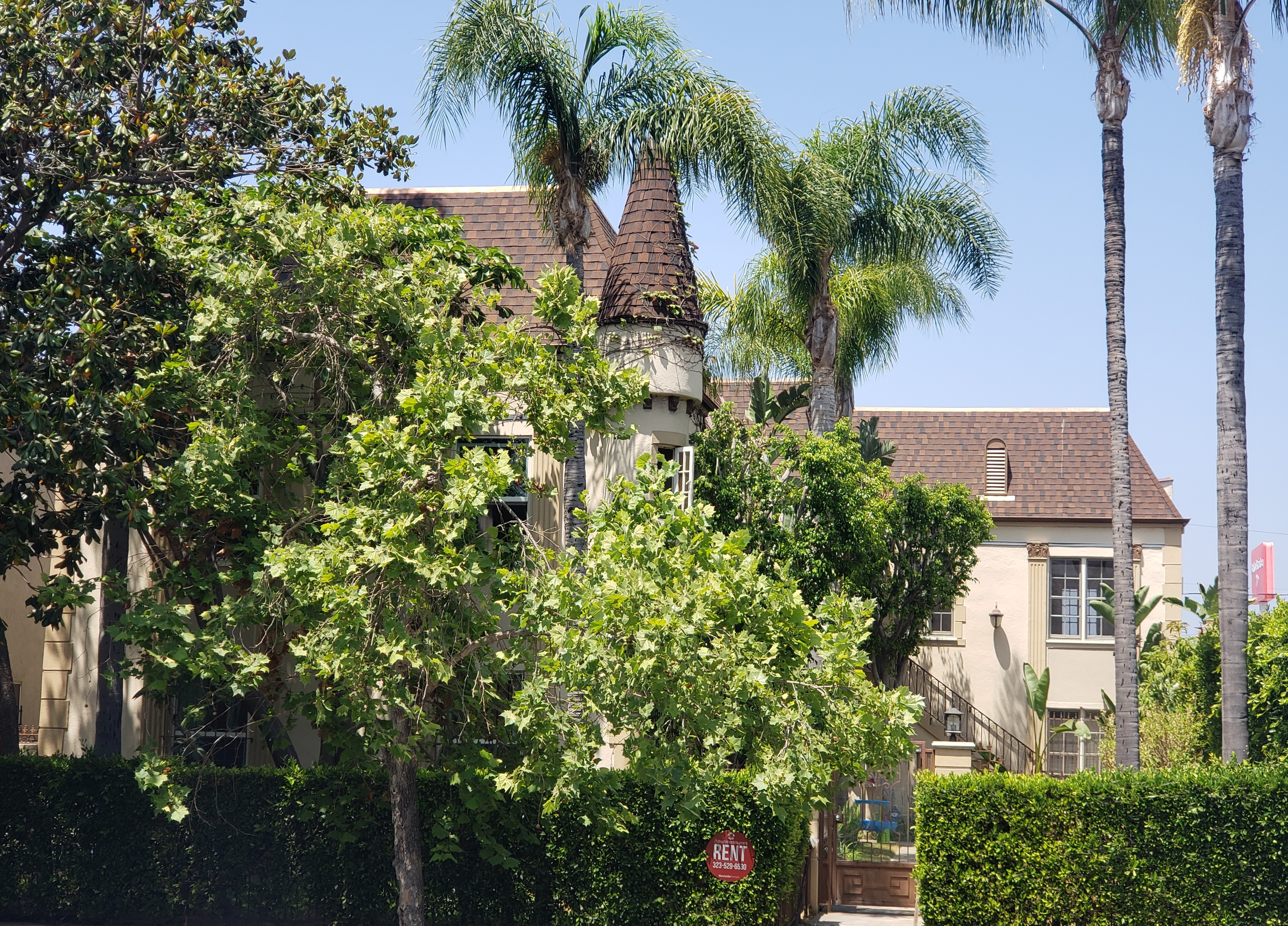r35-449-sycamore-pic.jpg