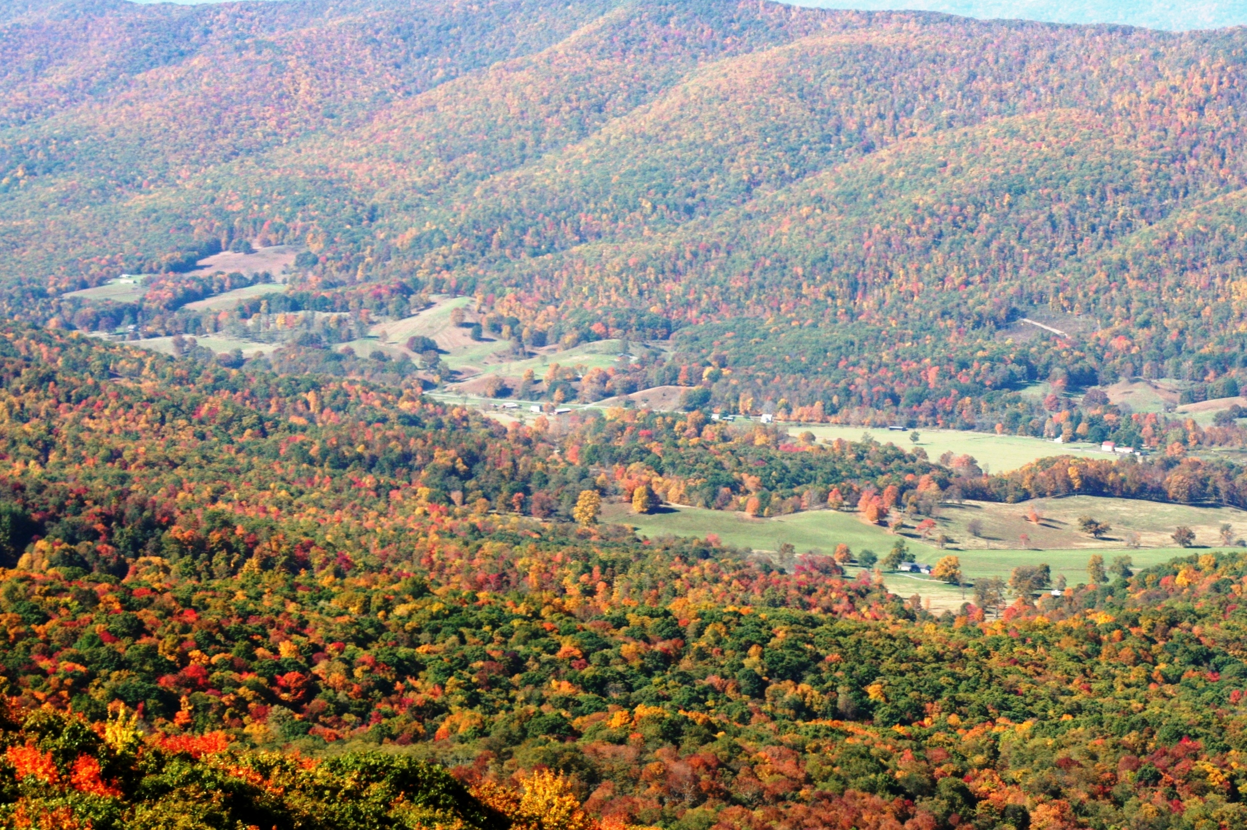 r35-landscape-fall-2jpg.jpg