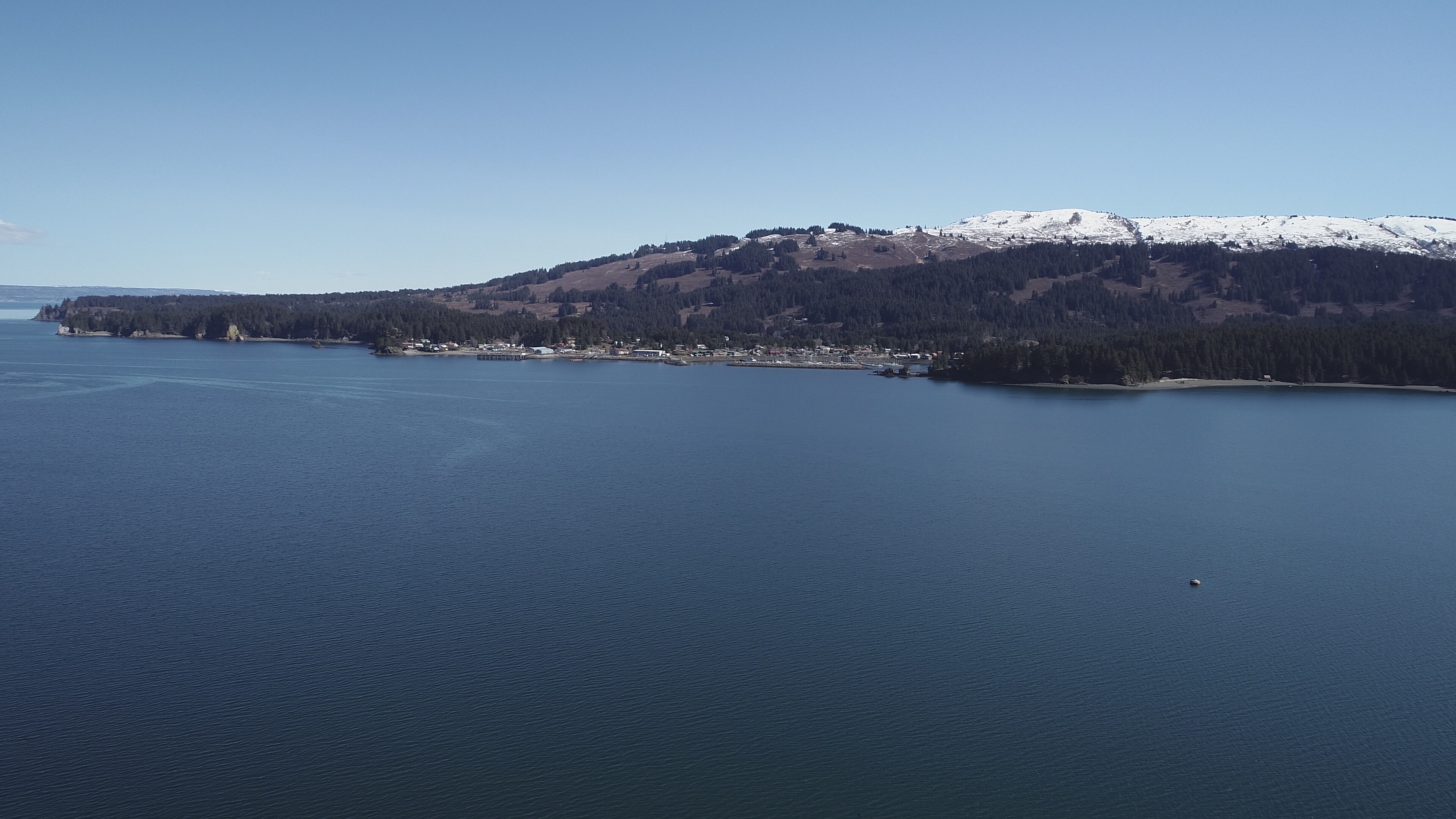 135-r77-116seldovia190427jhdroneshotsdavisseldoviawaterfrontdji0116jpg.jpg