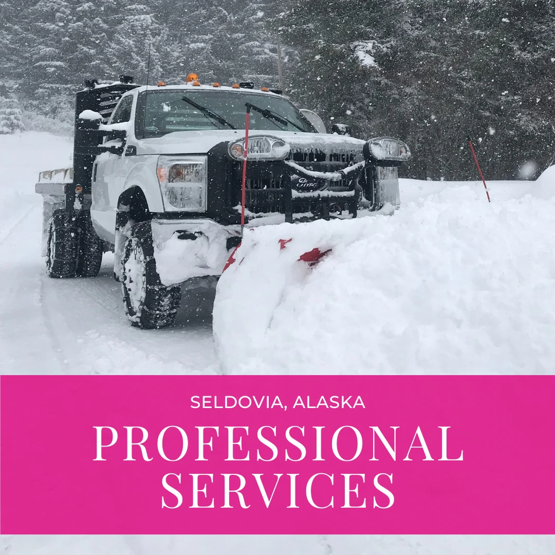 From construction to transportation to real estate, Seldovia has a dedicated team of professionals ready to help you with all your needs.