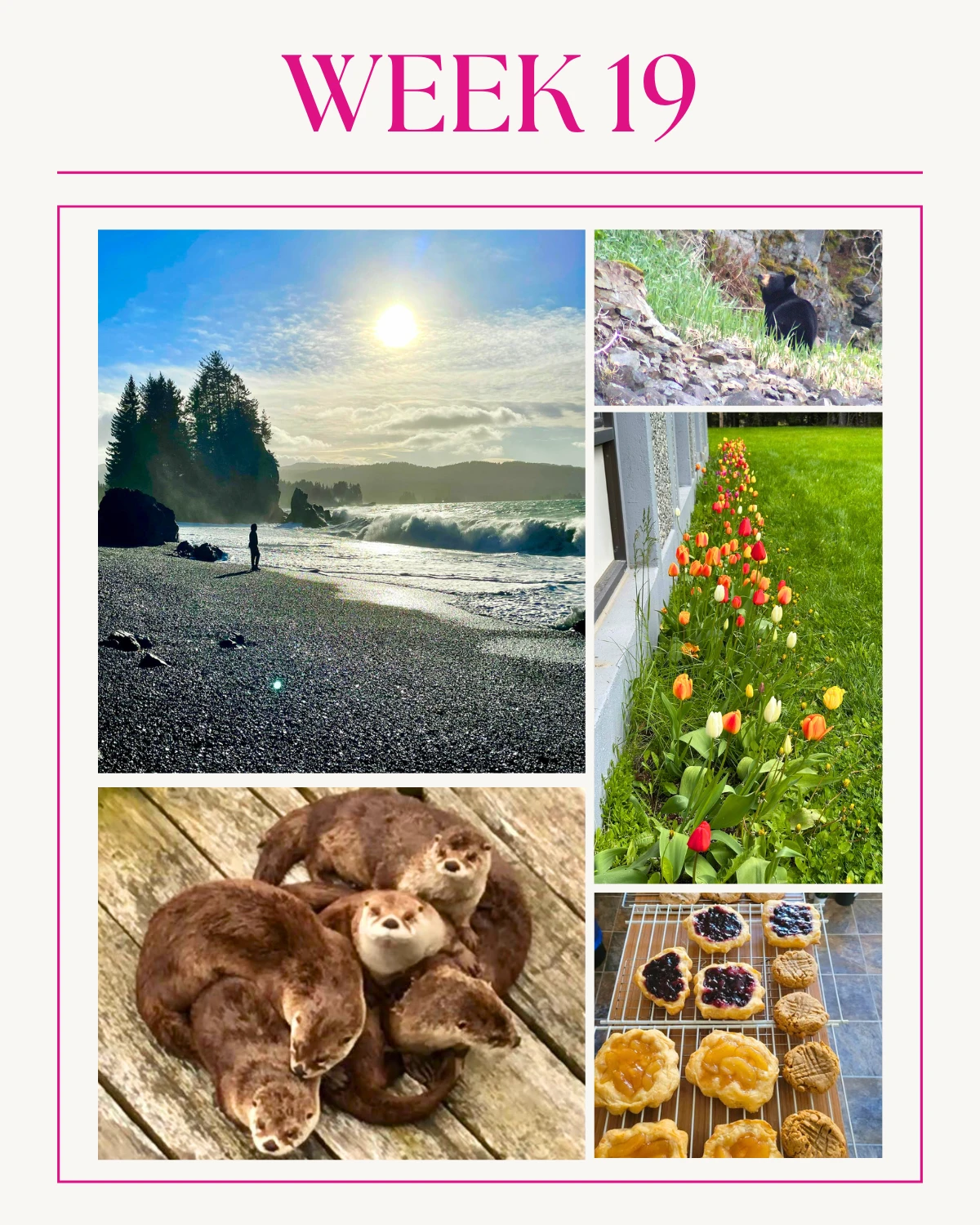 Catch a stunning glimpse of life in Seldovia with our latest photo roundup for Week 19 on Seldovia.com!