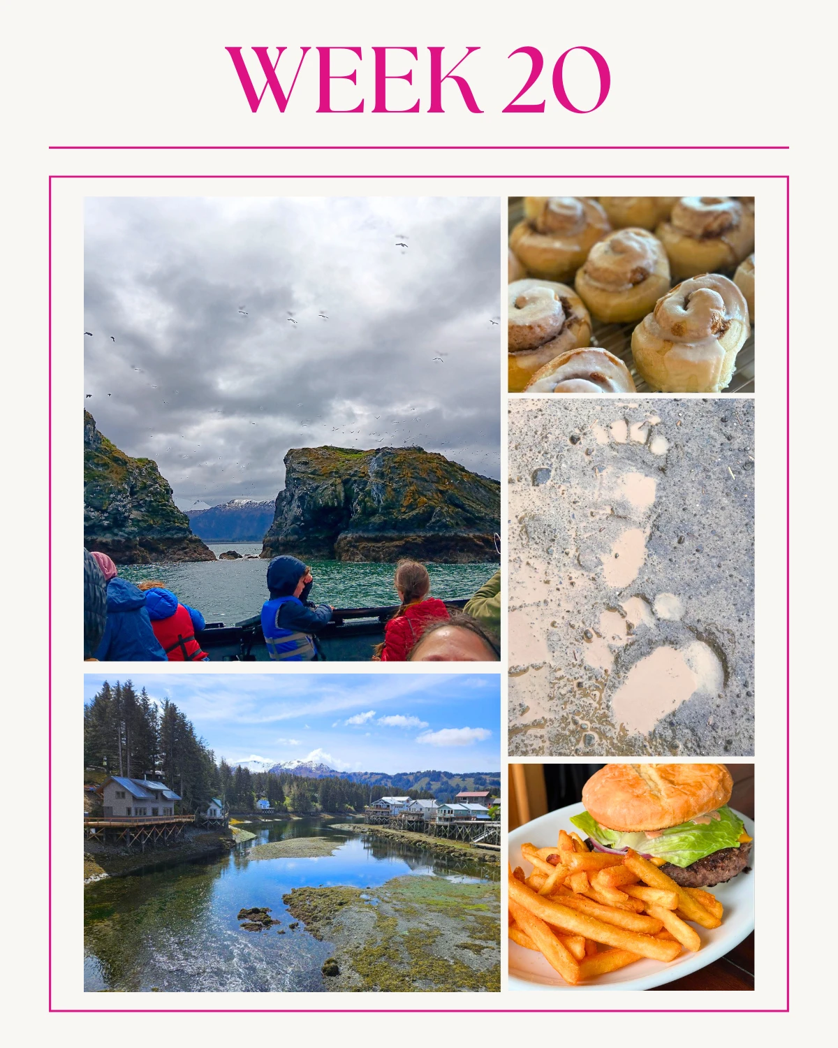 A Glimpse Into Week 20 in Seldovia!