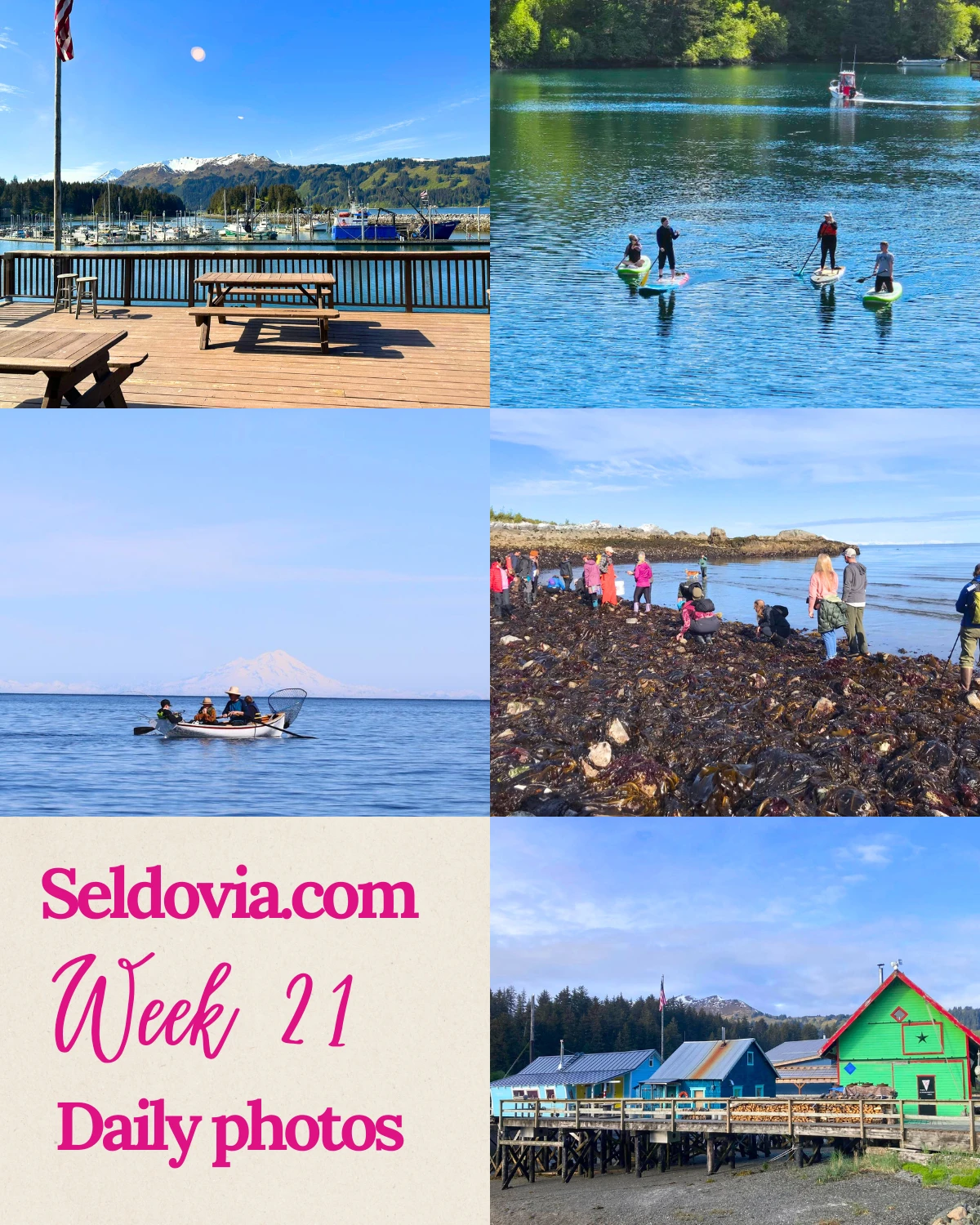 Week 21 in Seldovia is here, and our community has outdone itself!