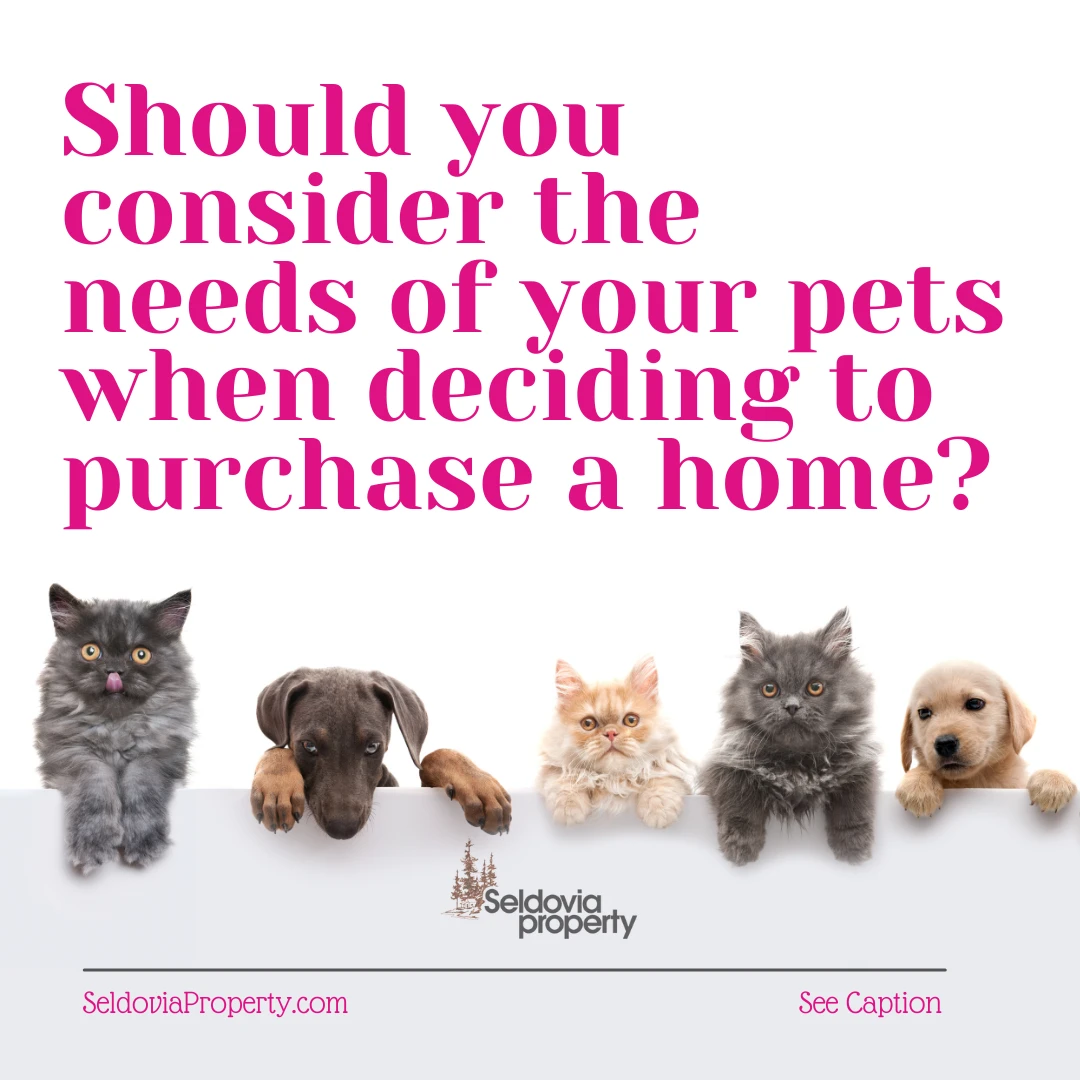 Should You Consider the Needs of Your Pets When Purchasing a Home?