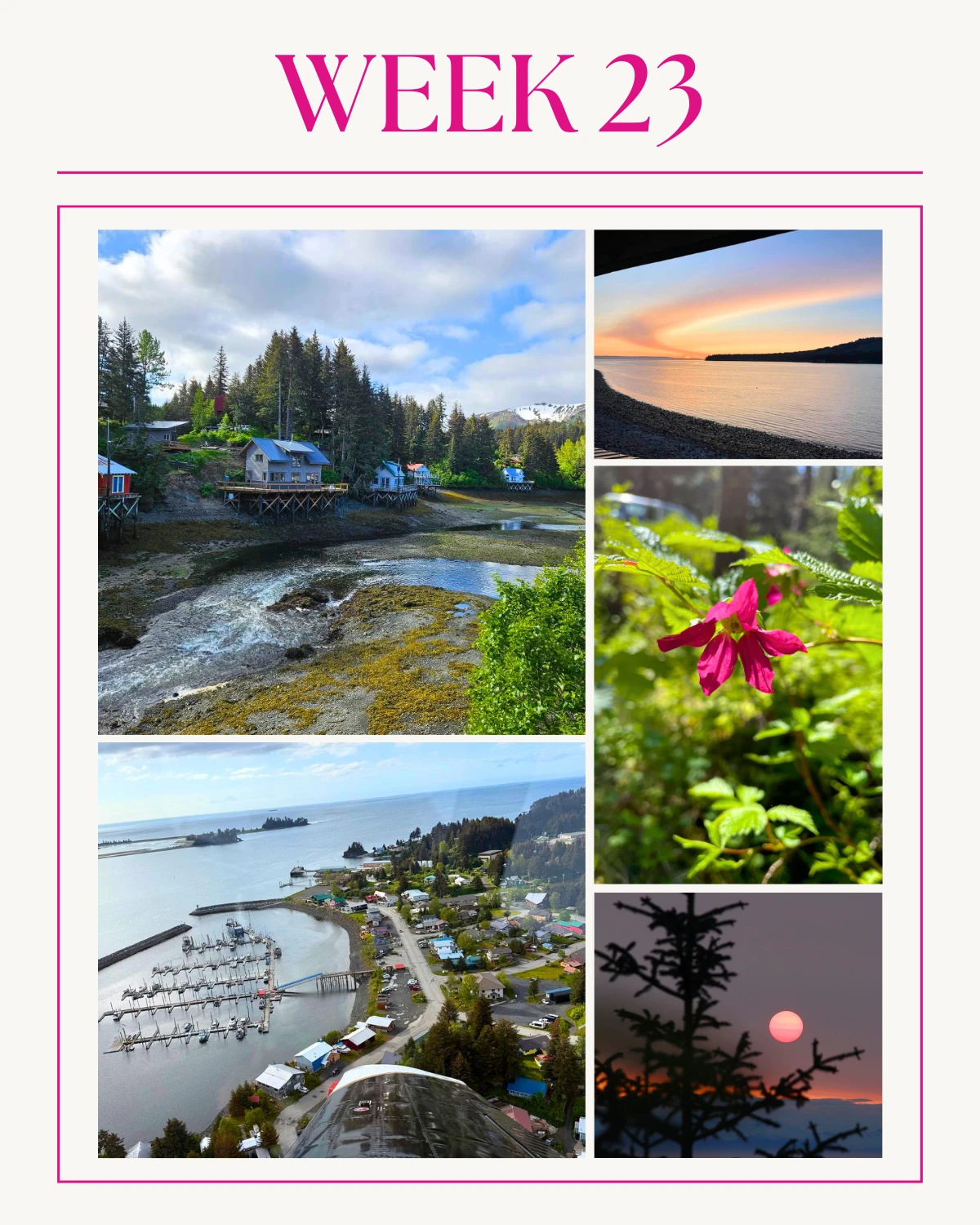 Week 23 in Seldovia—A View Through Local Eyes