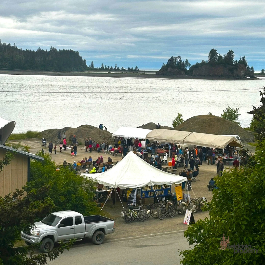 Witnessed the Seldovia Summer Solstice Music Festival right from my office window, music, laughter, and sunshine filling the air!