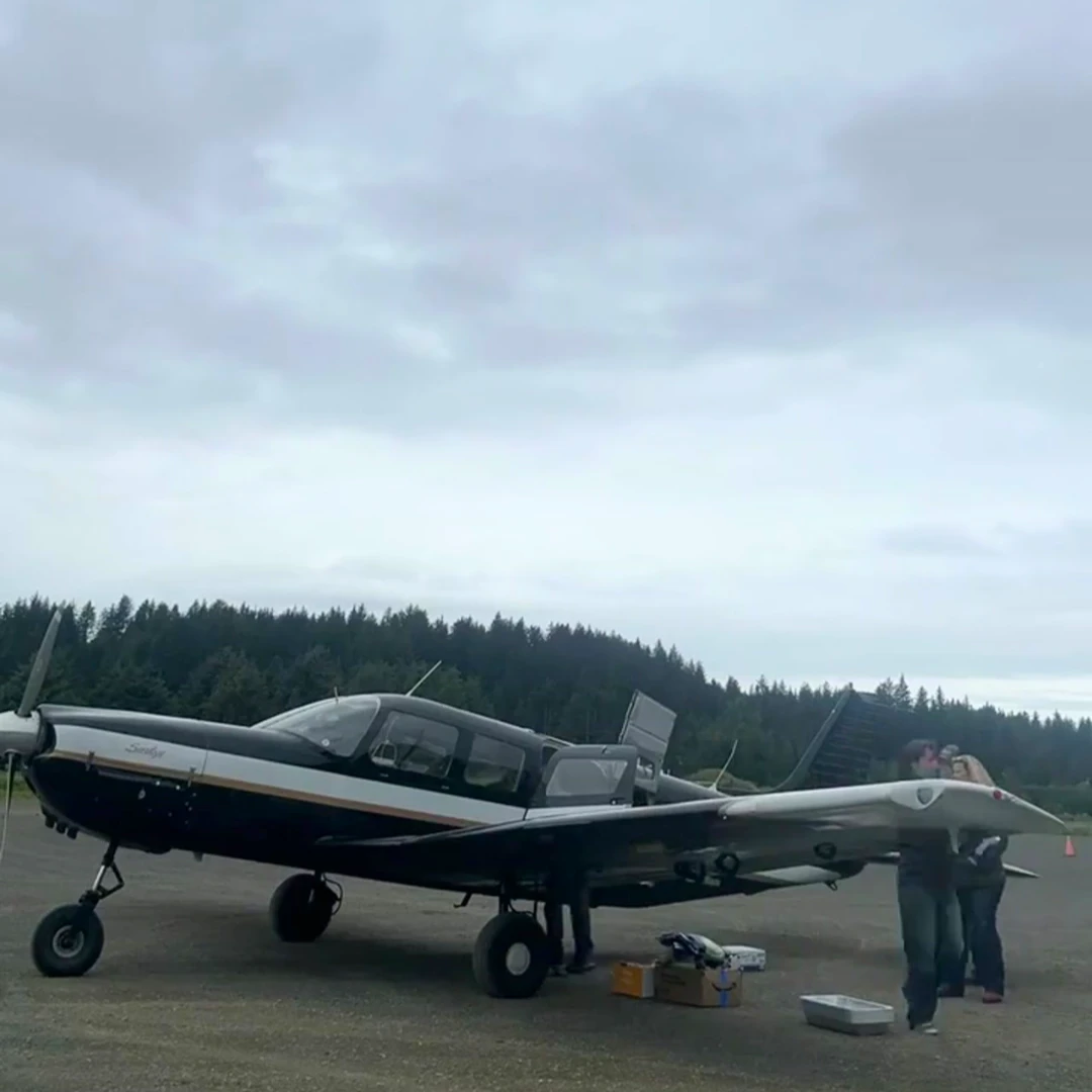 Ronnie, with True North Air flies in groceries, picks up special orders and shops all around Anchorage to bring us things we need here in Seldovia!