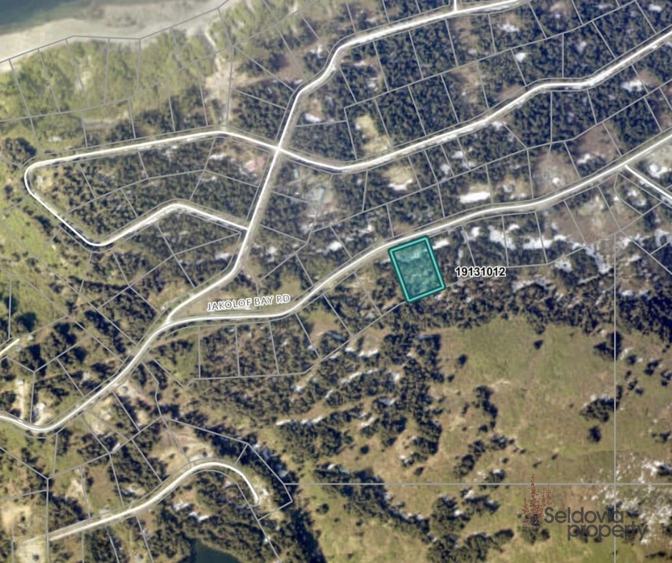 This large, beautifully wooded parcel sits right on Jakolof Bay Road.