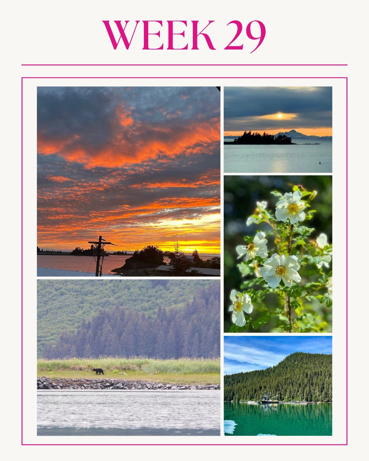 A Picture-Perfect Week 29 in Seldovia