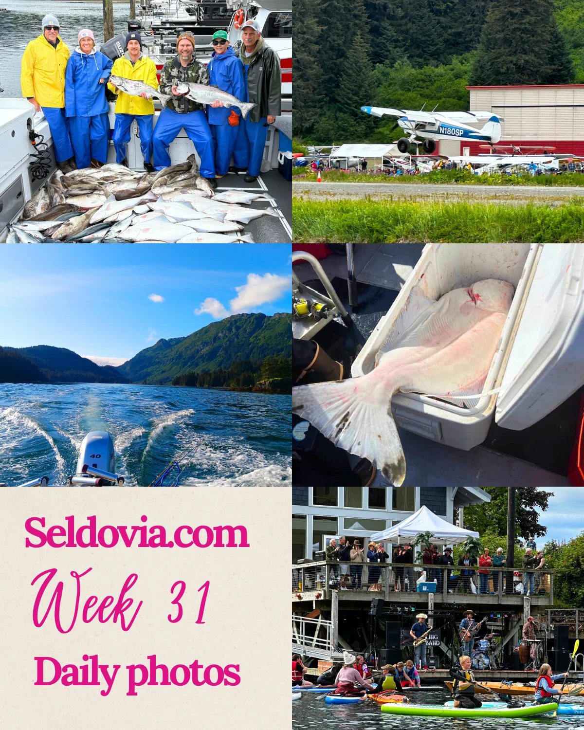 Week 31 in Seldovia