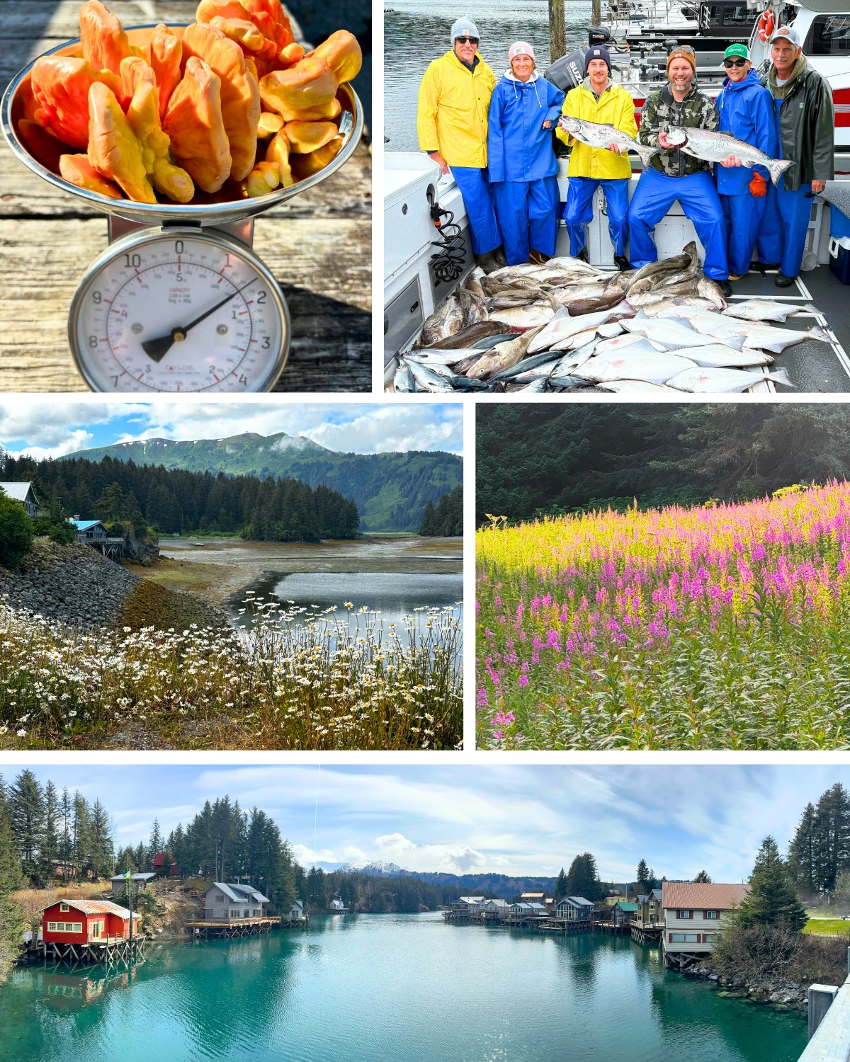 Week 32 in Seldovia brought us another round of stunning daily photos