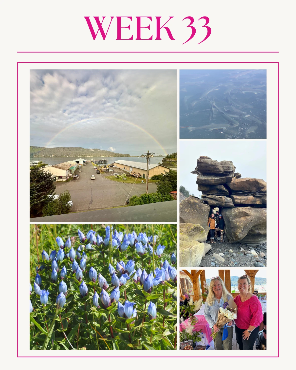 From Rainbows to Salmonberry Contest