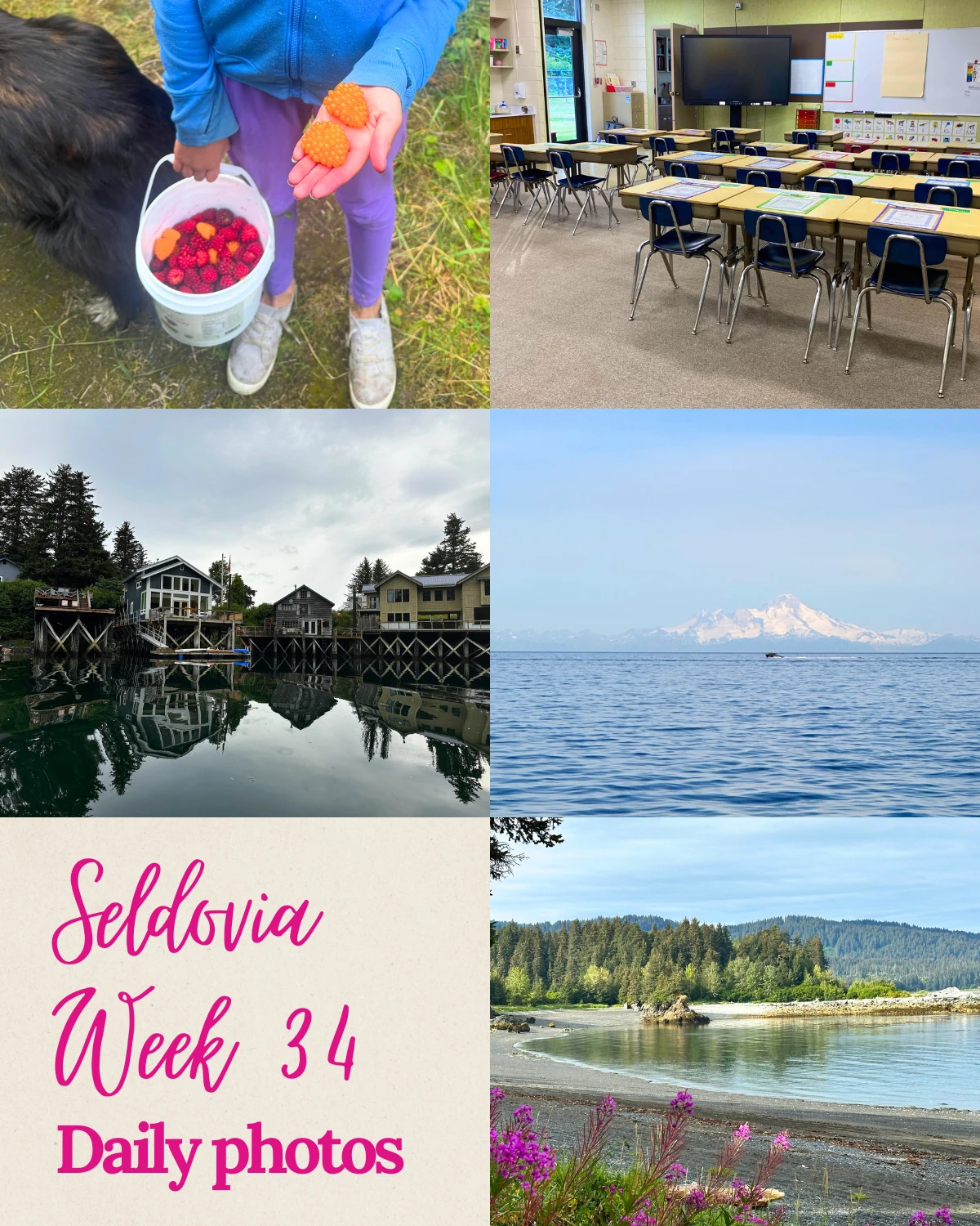This week, our community was captured in so many beautiful ways!