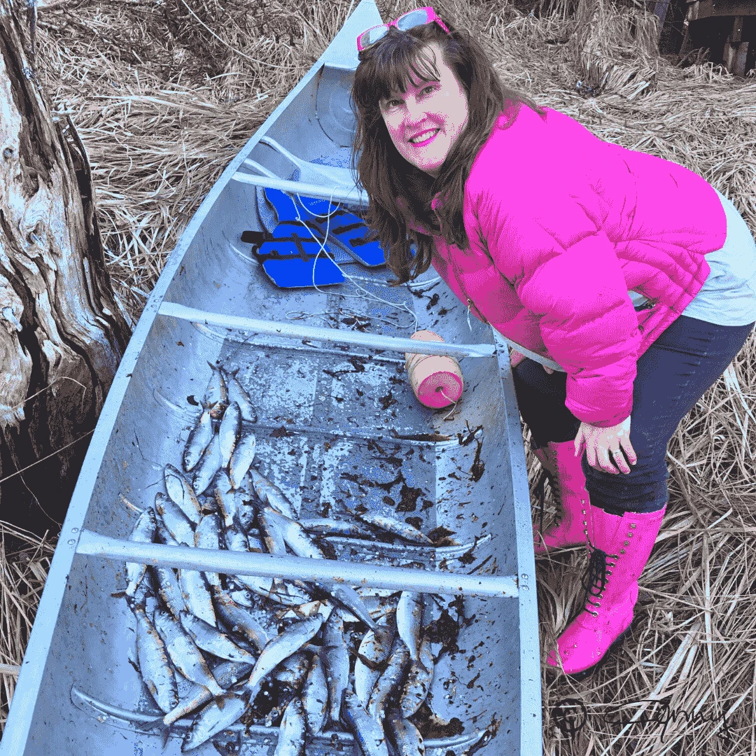 April herring fishing in Seldovia!