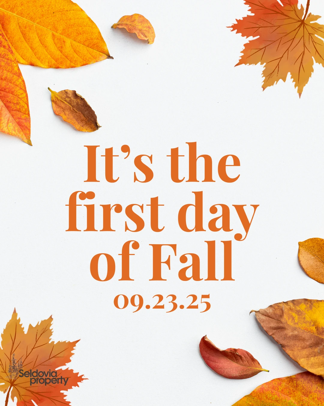 Embracing the changing colors and crisp air on this beautiful First Day of Fall!