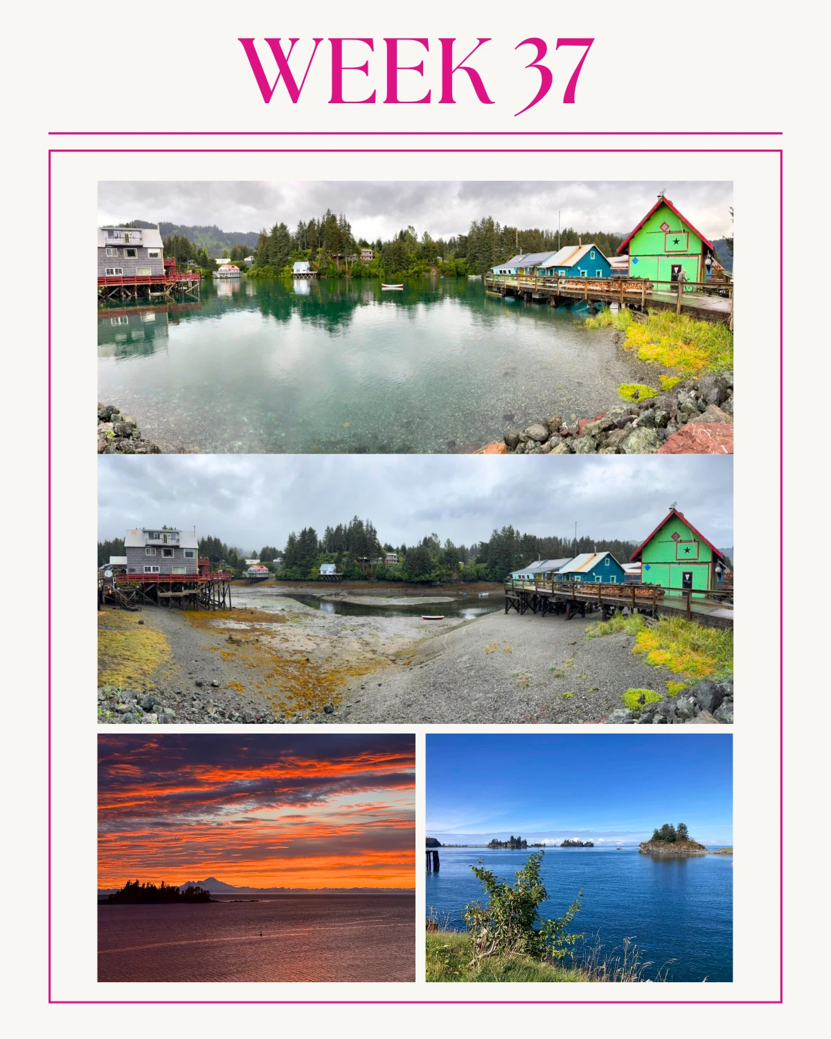Week 37 in Seldovia