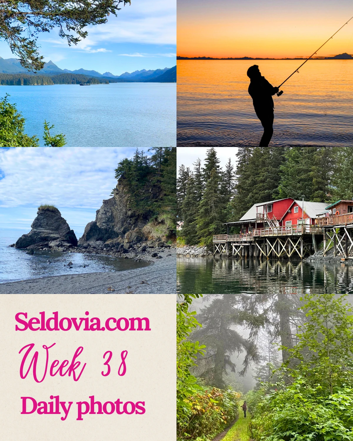 Week 38 in Seldovia
