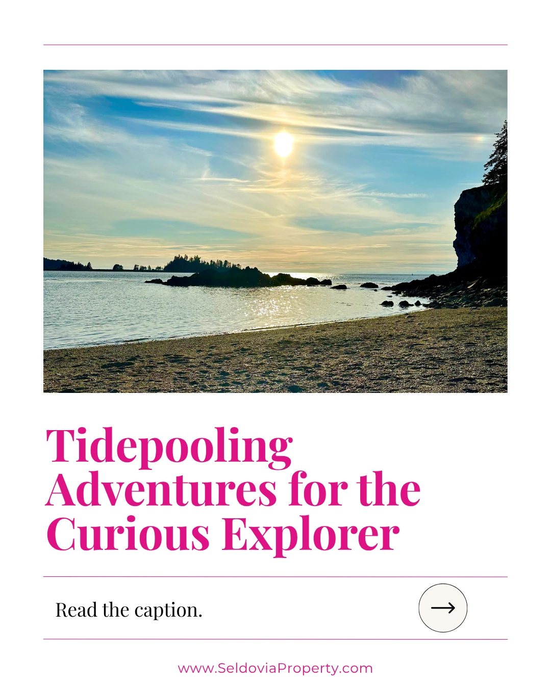 When the tide slips away, rocky coves and sandy stretches transform into vibrant, living aquariums, revealing the intricate ecosystems that thrive just beneath the surface.