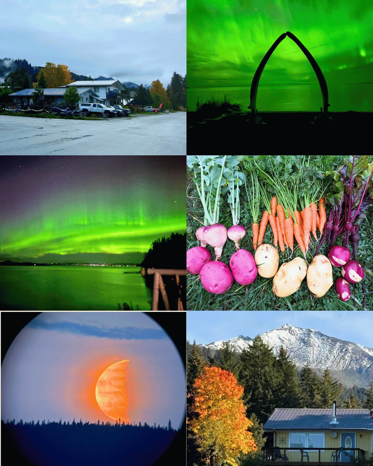 Week 40 in Seldovia has been a celebration of color and wonder.