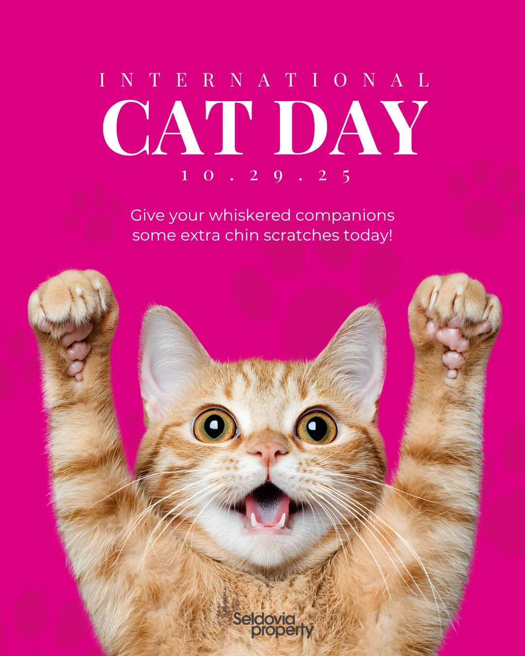 From cozy cabins to sunny docks, cats in Seldovia always find the best spots to nap, watch the tide, or keep their humans company.