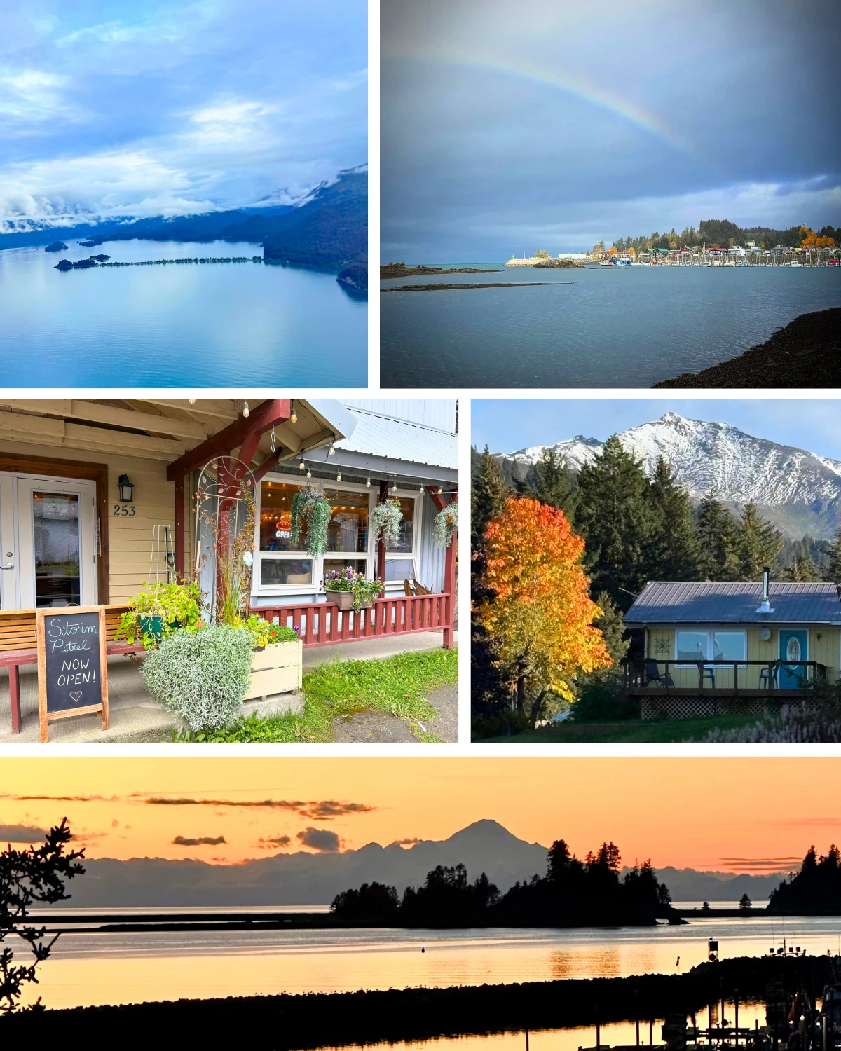 Week 41 in Seldovia has been filled with moments that capture the quiet beauty of fall.