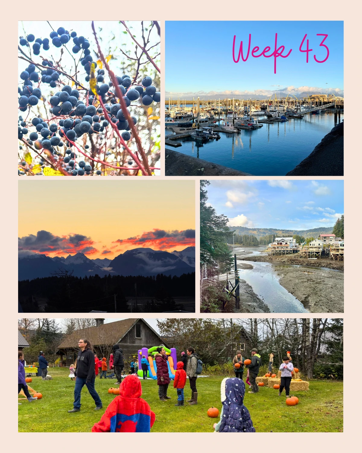 Week 43 in Seldovia brought a little bit of everything that makes this coastal town so special.