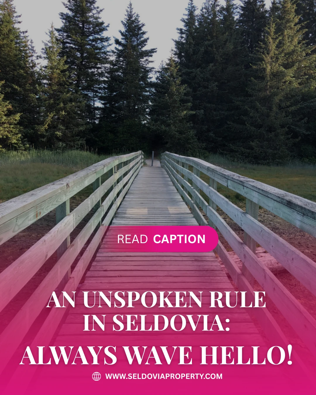 In Seldovia, there’s a quiet rhythm to daily life, the hum of the harbor, the crunch of gravel roads, and the simple gesture that ties everyone together: