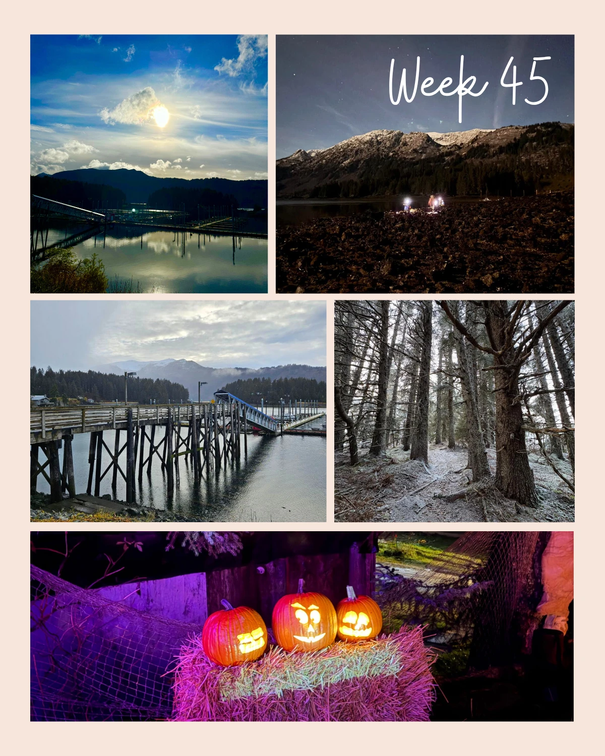 Hello, Seldovia! Welcome to Week 45 of 2025!