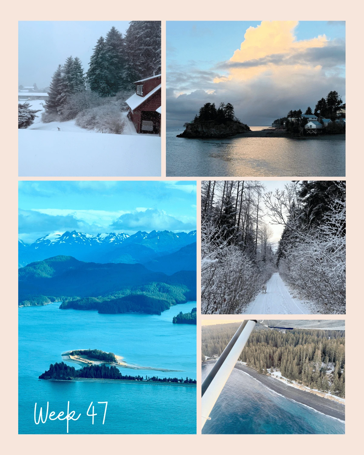 Hello, Seldovia! Welcome to Week 47 of 2025, a week where winter truly stepped into view.