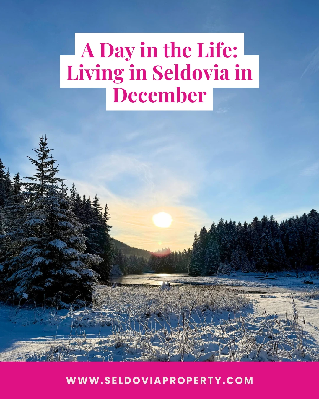 A Day in the Life: Living in Seldovia in December