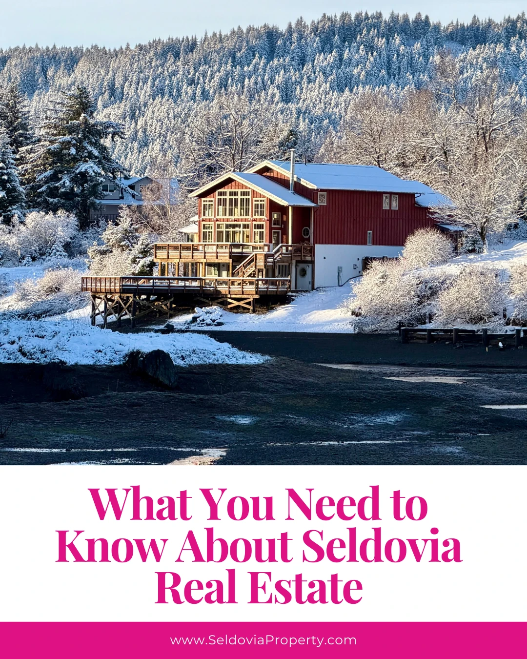 Thinking about living in or investing in Seldovia?