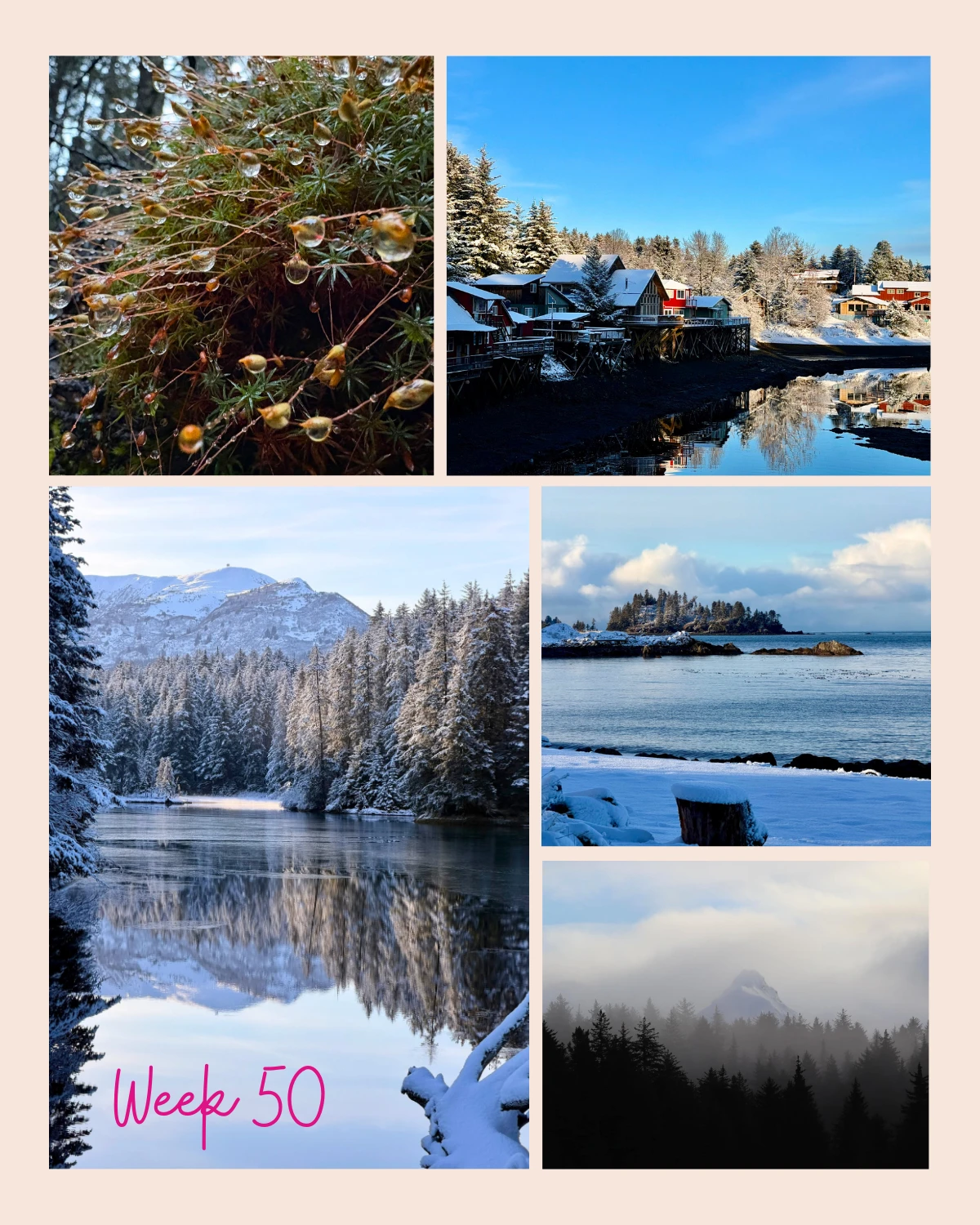 Week 50 reminds us how peaceful this season can be!