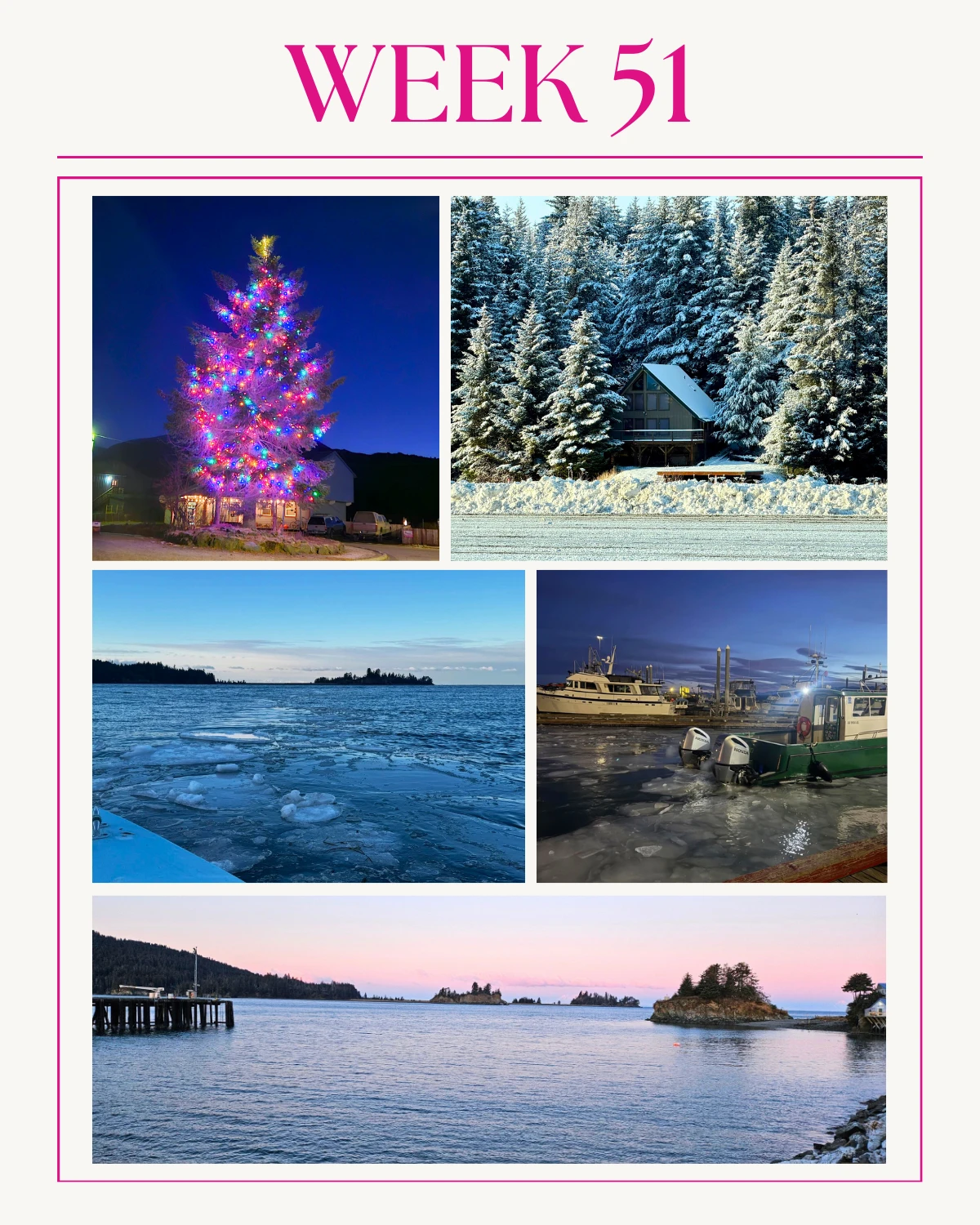 Hello, Seldovia! Welcome to Week 51 of 2025!