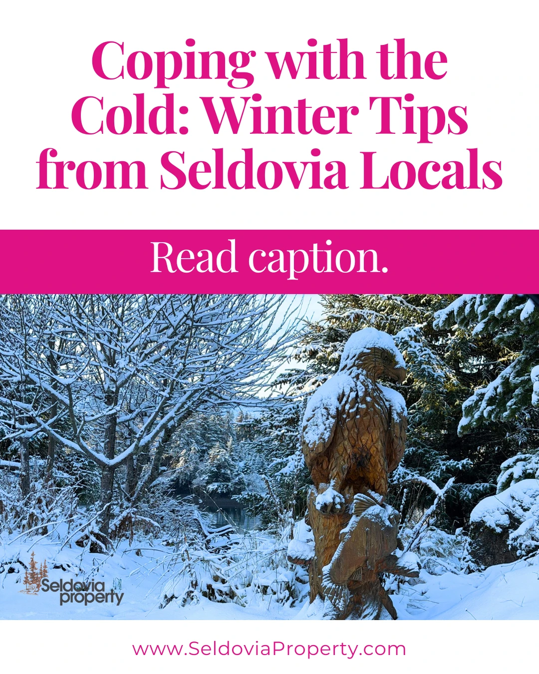 Winter in Seldovia is beautiful!