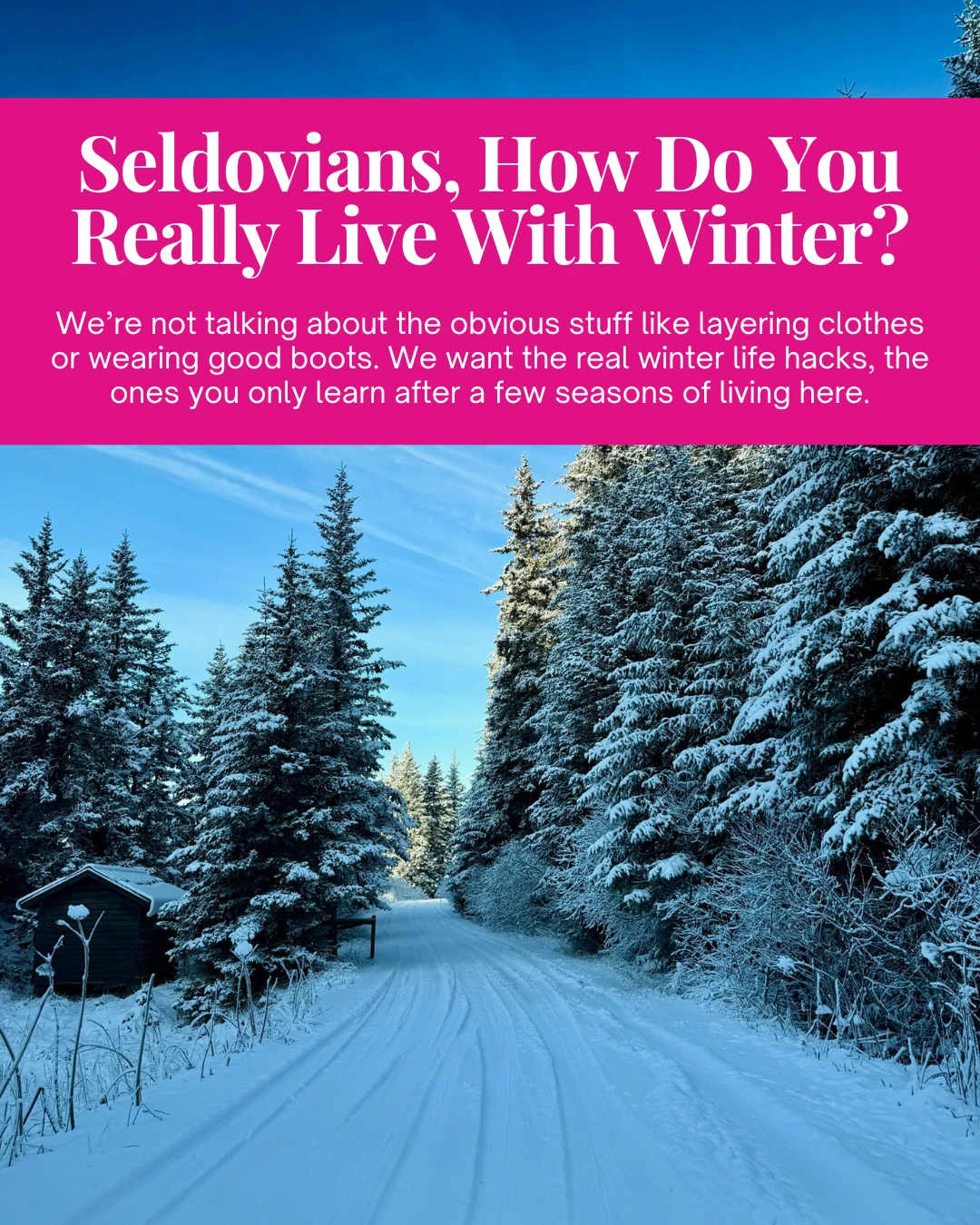 Seldovians, How Do You Really Live With Winter?