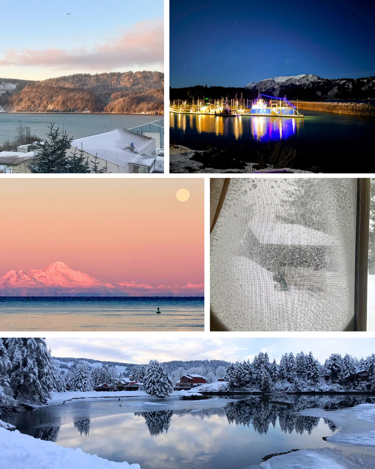 Week 2 of 2026 in Seldovia unfolds like a quiet winter story.