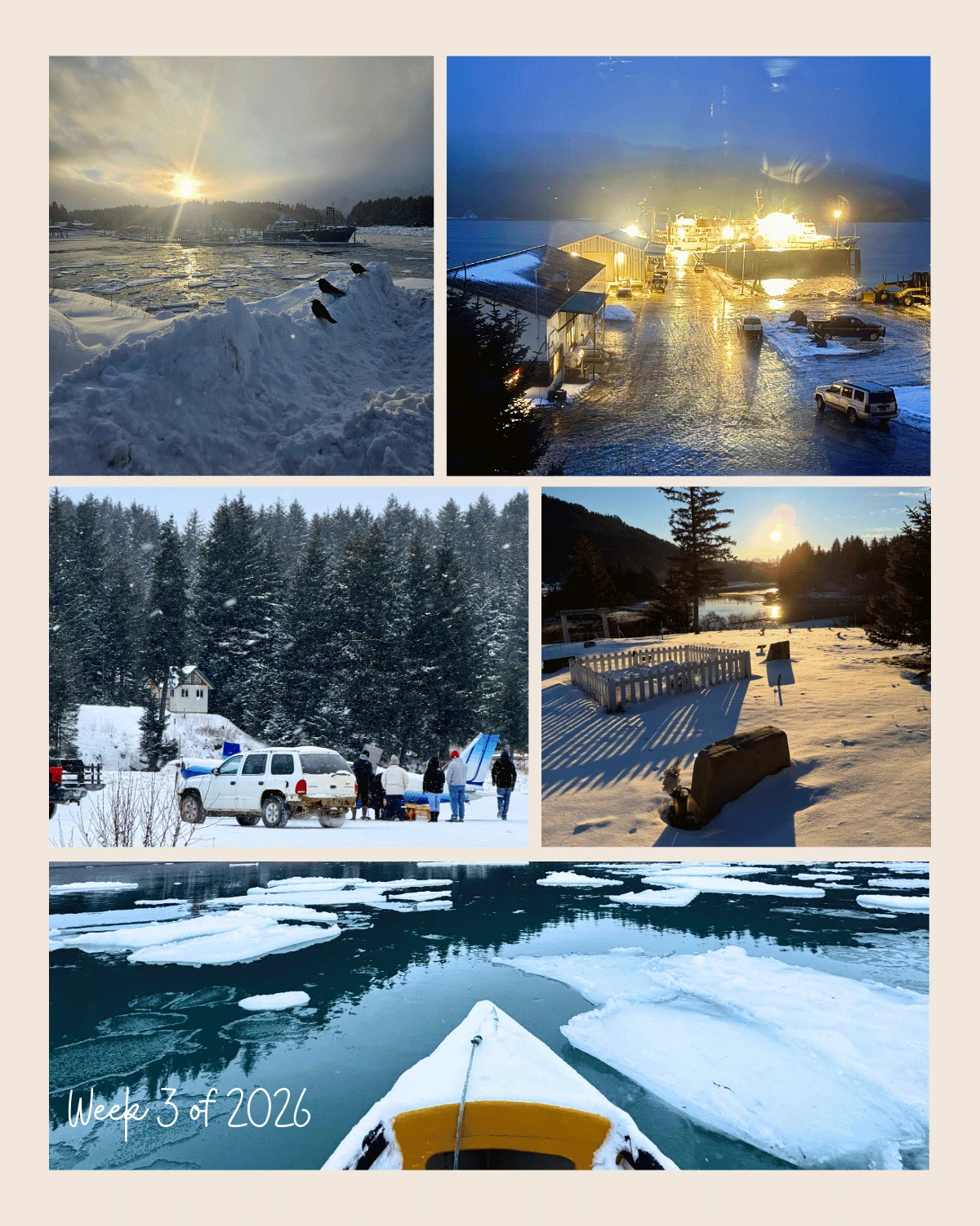 Week 3 of 2026 in Seldovia unfolds in layers of quiet beauty and winter resilience