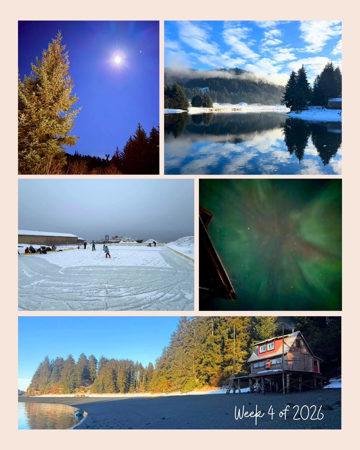 Week 4 of 2026 in Seldovia carries a sense of quiet confidence.