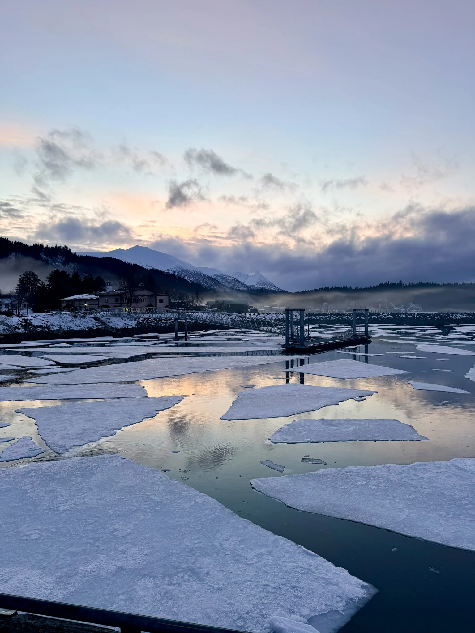 A rare sight here in Seldovia