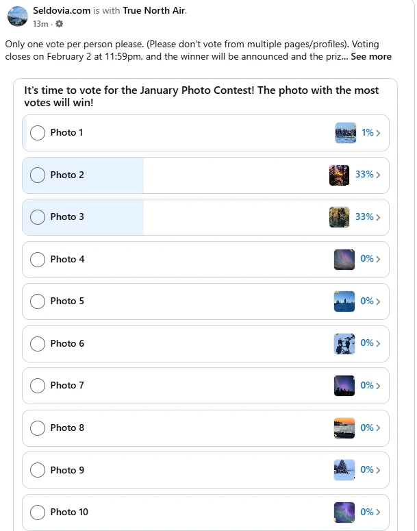 It's time to vote for the January Photo Contest!