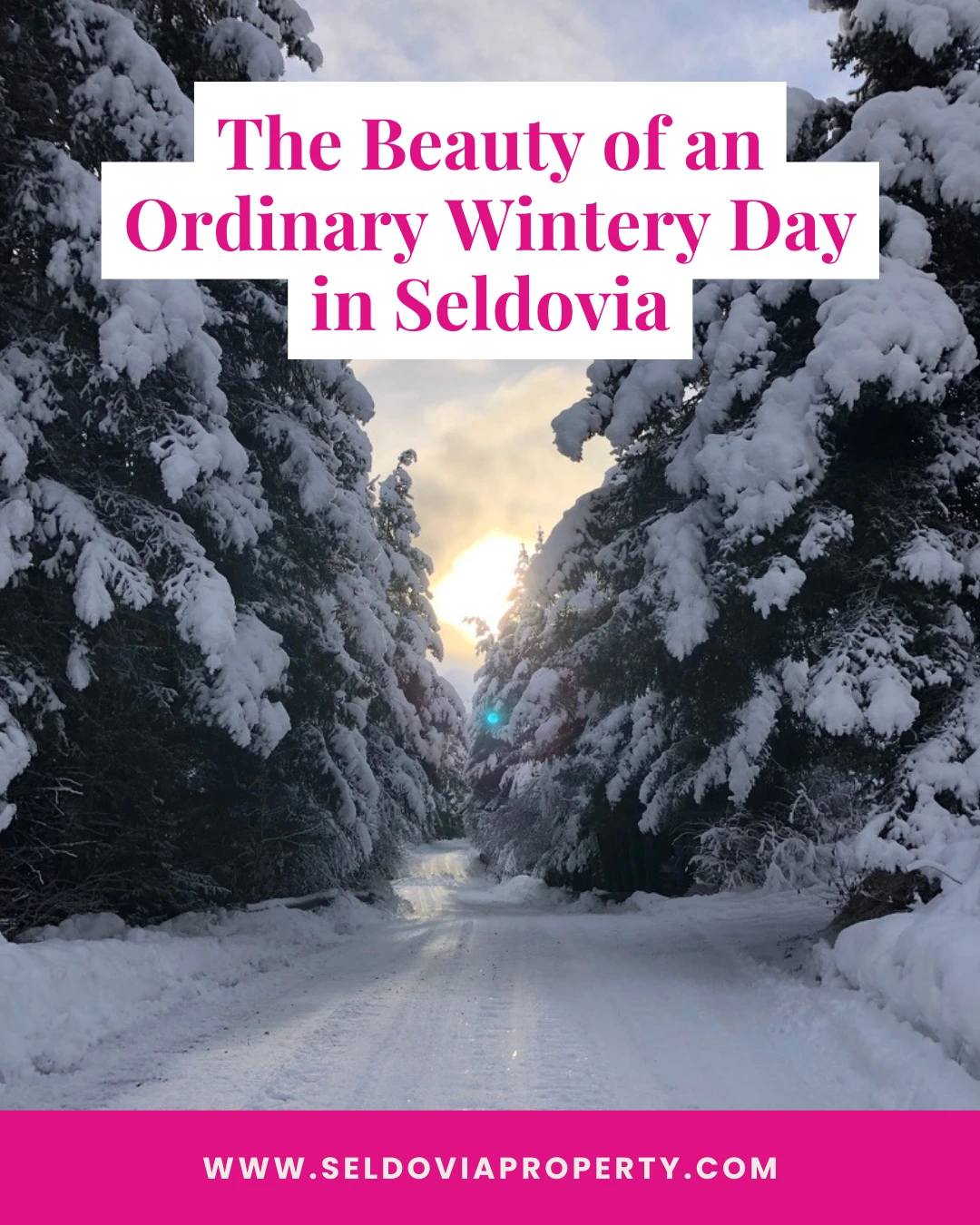 The Beauty of an Ordinary Wintery Day in Seldovia