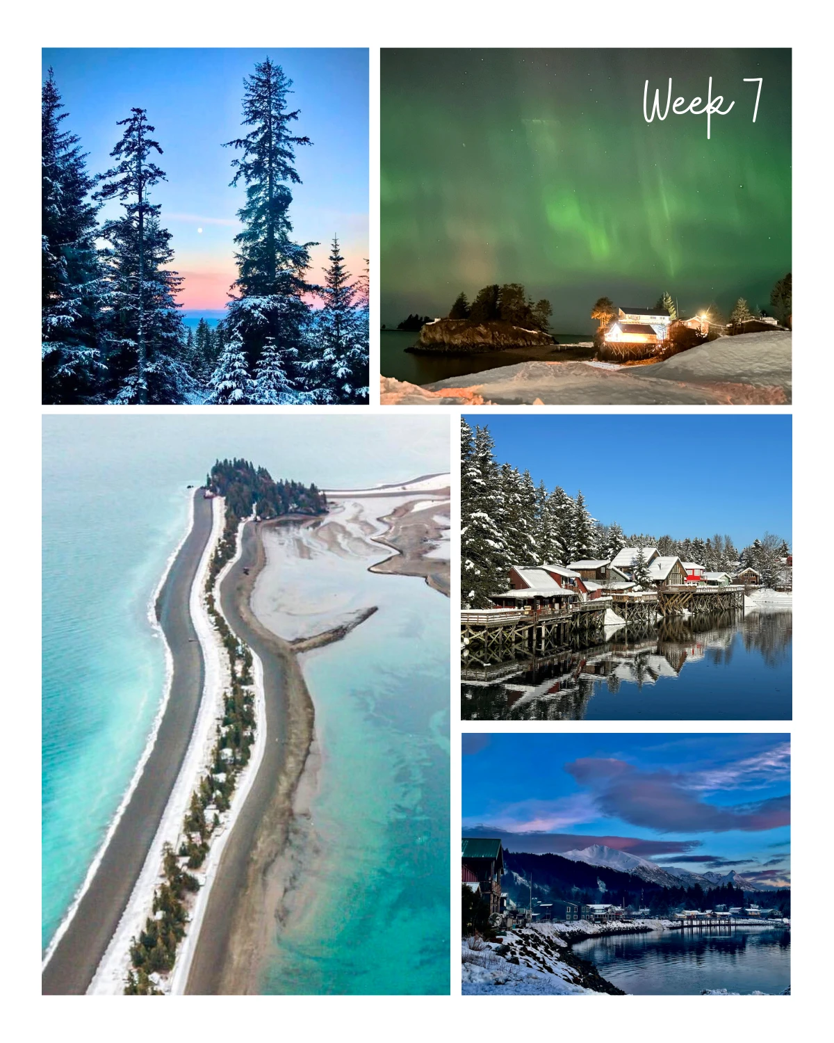 Week 7 of 2026 in Seldovia feels quietly expansive.