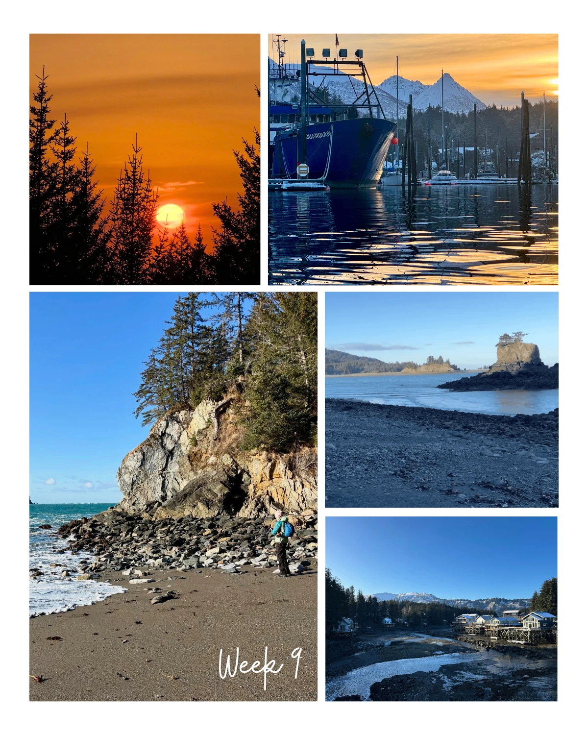 Week 9 of 2026 in Seldovia feels calm, clear, and quietly transitional.