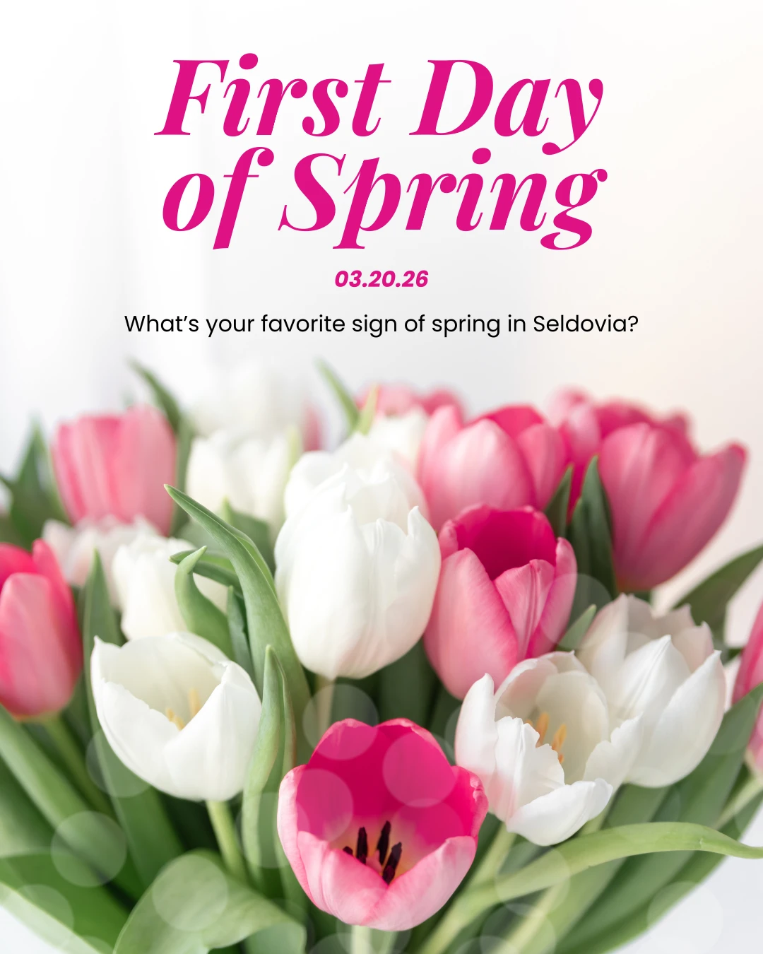 In Seldovia, spring doesn’t arrive all at once, it tiptoes in. 