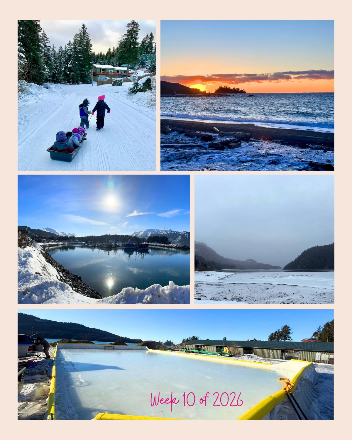 Week 10 of 2026 in Seldovia carries the feeling of a season gently beginning to turn.