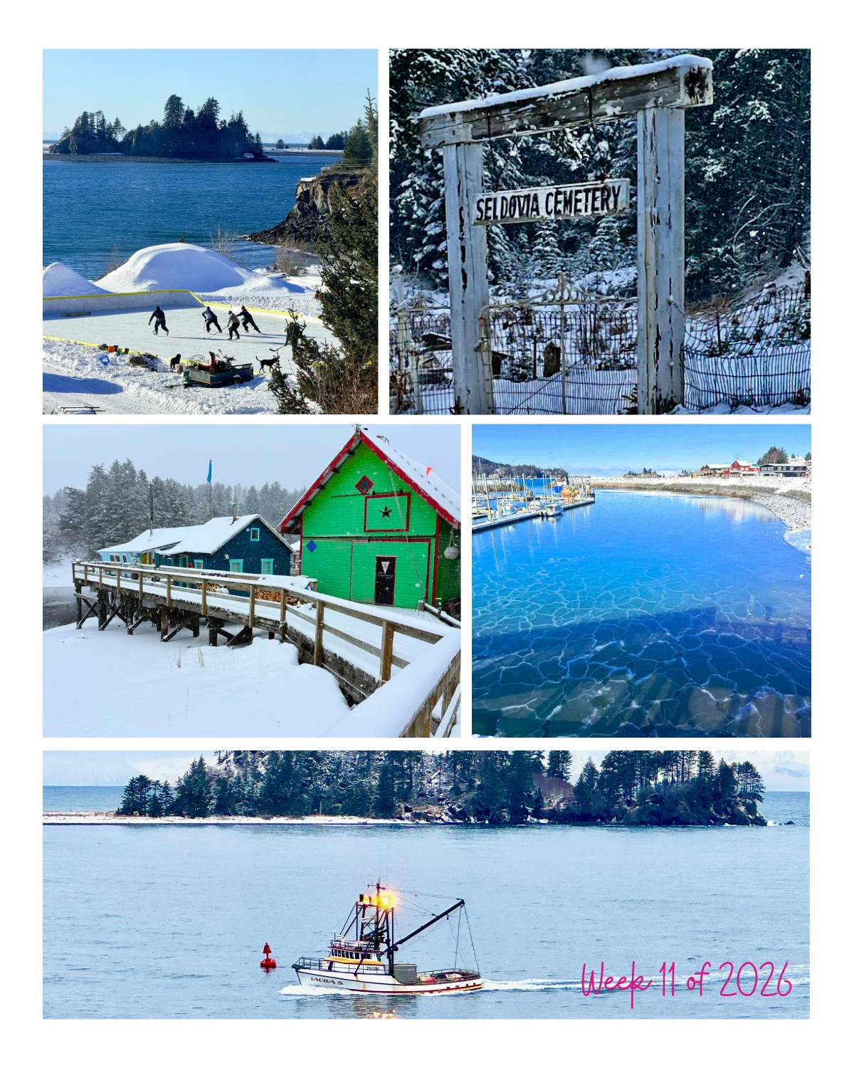 Week 11 of 2026 in Seldovia brings a cheerful rhythm to late winter!