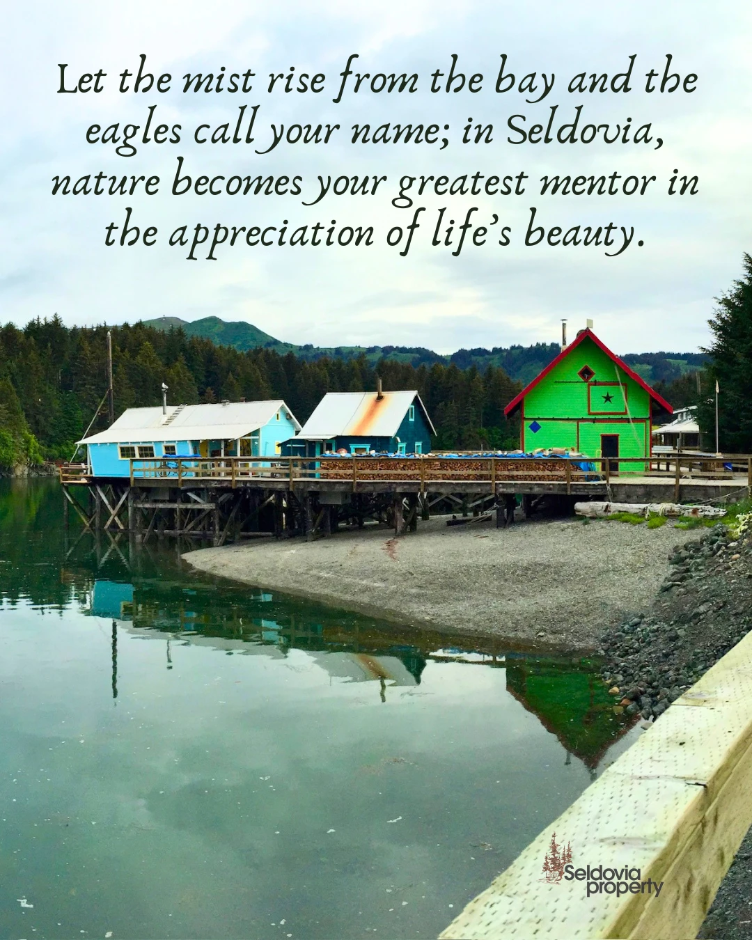 When was the last time you paused and just took it all in? 