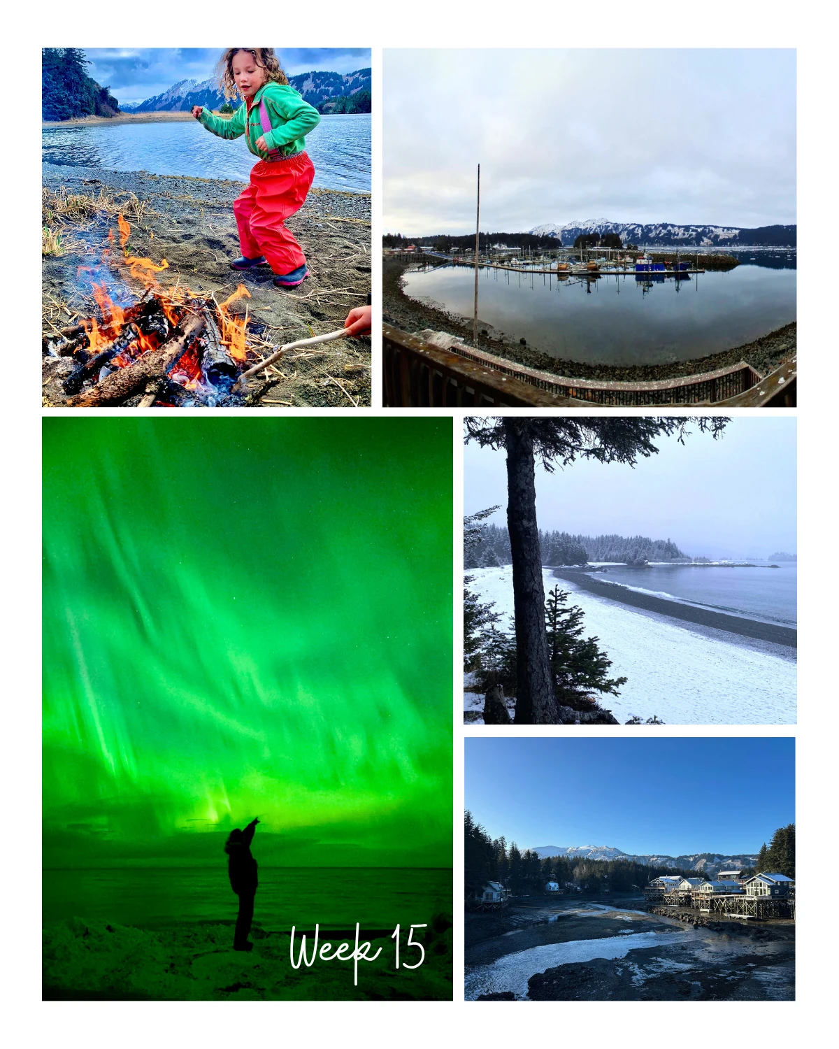 Week 15 of 2026 in Seldovia feels alive with contrast and energy!