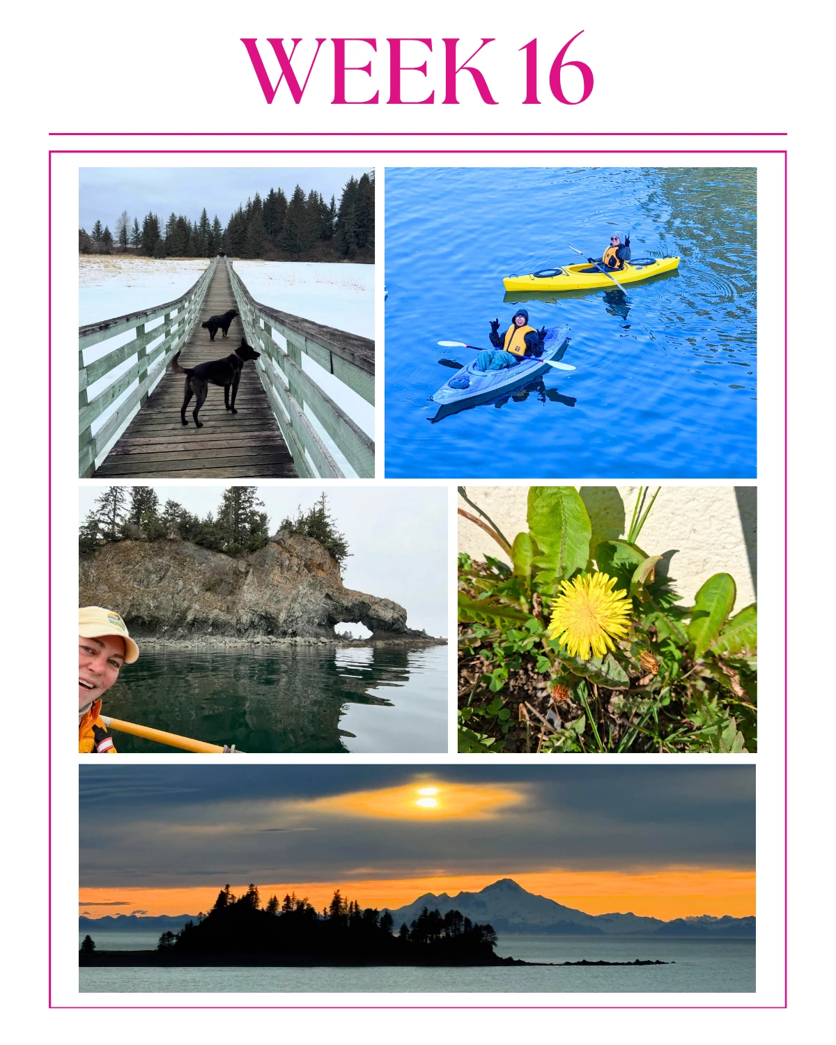 Week 16 of 2026 in Seldovia feels like a turning point you can actually feel.