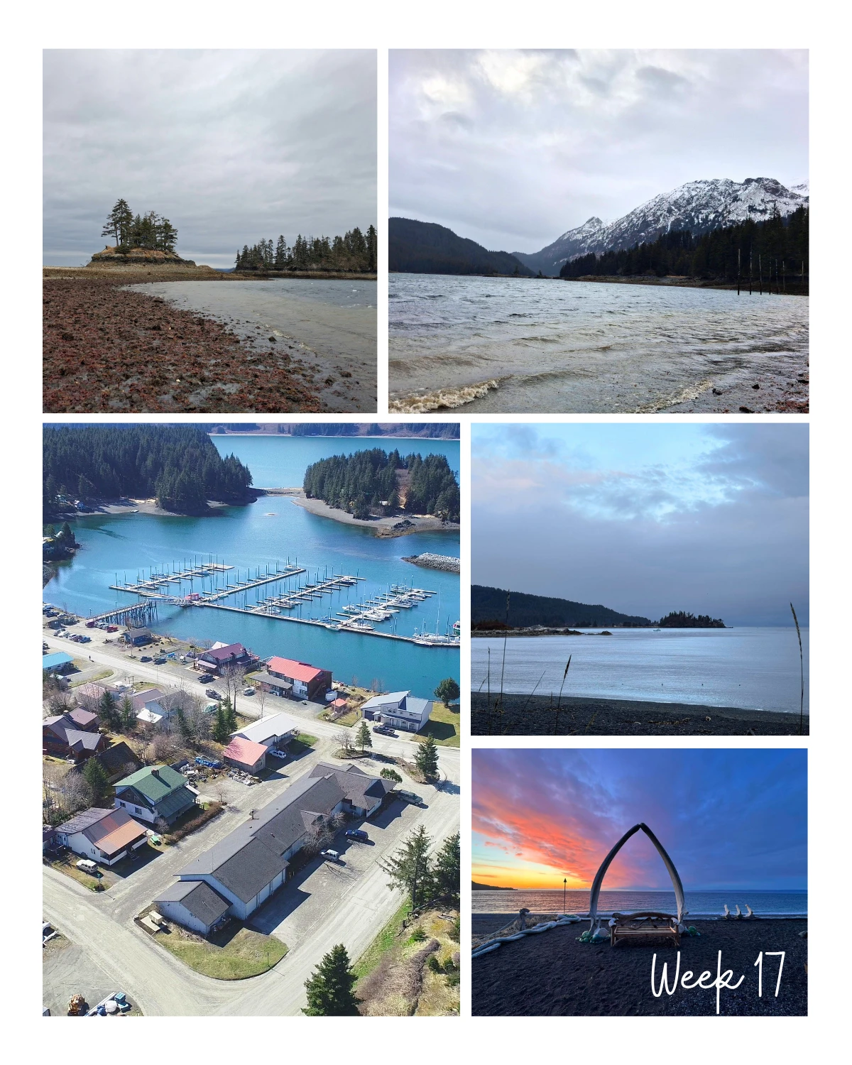 Week 17 of 2026 in Seldovia feels like the season is opening up!